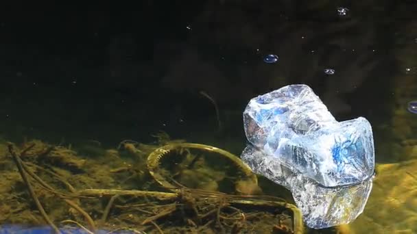 Vuoto Bottiglia Plastica Lago Nessuno Filmato — Video Stock