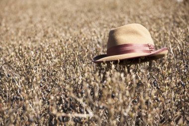 Vintage şapka bahçe kimse 