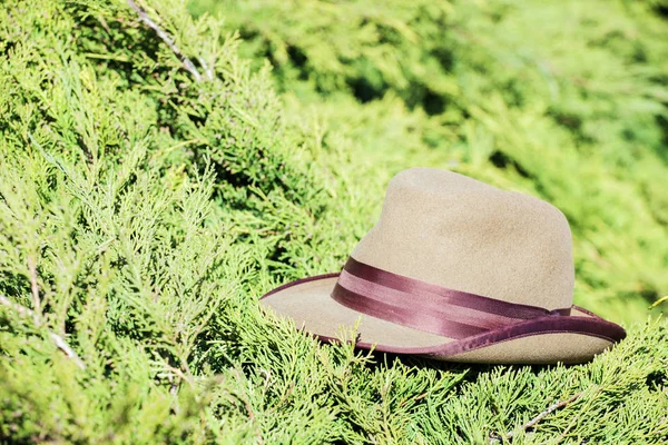 Chapeau Vintage Jardin Personne — Photo