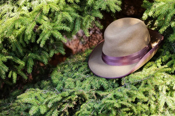 Vintage Hatt Trädgård Ingen — Stockfoto