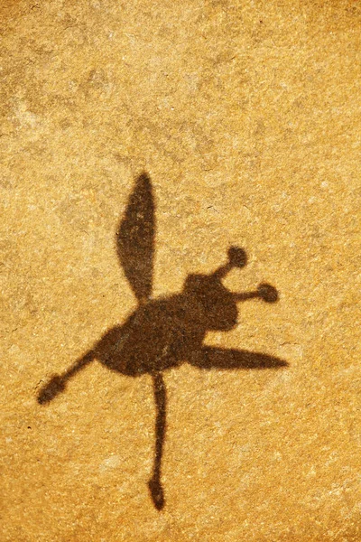Bee Shadow Stone Bakgrund — Stockfoto