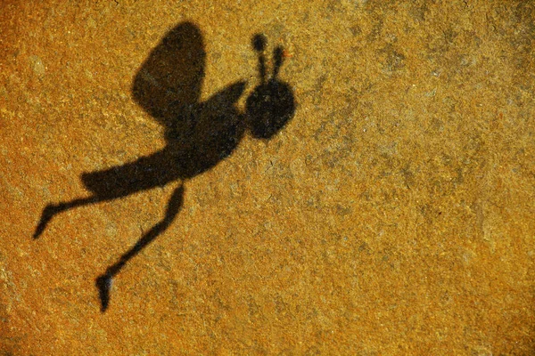 ミツバチシャドウ石の背景 — ストック写真