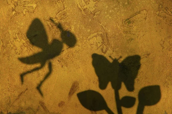 Bee Butterfly Bloem Schaduw Scherpe Muur Achtergrond — Stockfoto