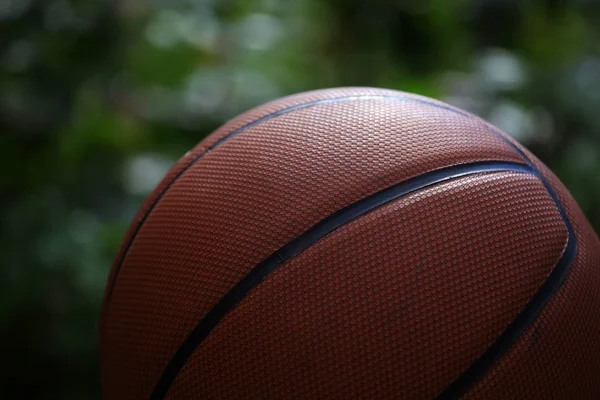 Basket Ball Jardin Bokeh Personne — Photo