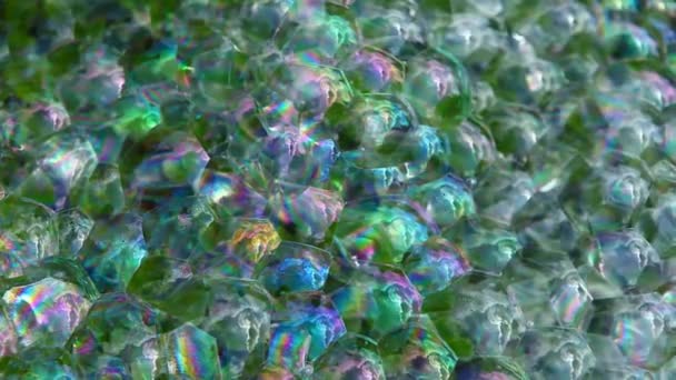 Succulent Plant Soap Bubbles Background Footage Nobody — Stock Video