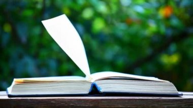 kitap ahşap masa ağacı bokeh kimse hd görüntüleri 