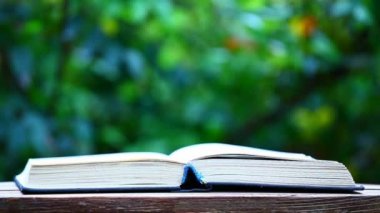 kitap ahşap masa ağacı bokeh kimse hd görüntüleri 