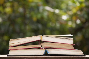 kitap ahşap masa ağacı bokeh kimse  