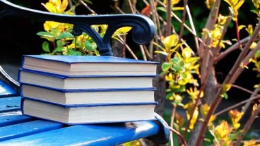 Kitap tezgah rüzgar ağacı arka plan kimse hd görüntüleri 
