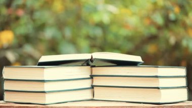 kitap ahşap masa ağacı bokeh kimse hd görüntüleri 