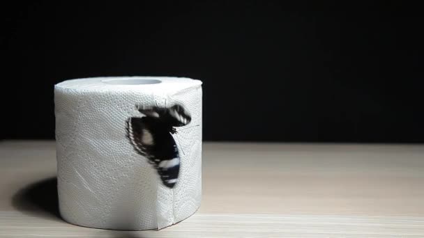 Butterfly Toilet Paper Dark Background Footage — Stock Video
