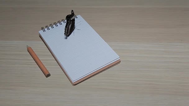 Notepad Pencil Butterfly Table Footage — Stock Video
