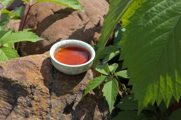 Black Tea Cup Stone Background Virginia Creeper Nobody — Stock Photo, Image