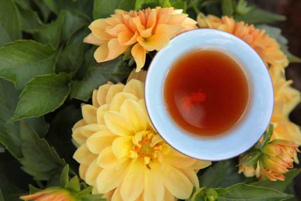 Черный Чай Чашка Цветочный Фон Никто — стоковое фото