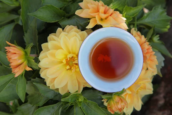 Black Tea Cup Flower Background Nobody — Stock Photo, Image
