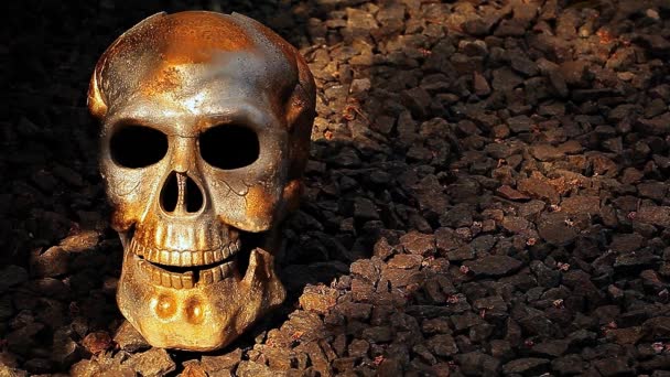 Calavera Piedra Fondo Sombra Nadie Metraje — Vídeos de Stock