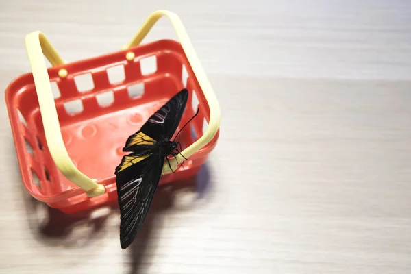Kunststoffkorb Schmetterling Holztisch — Stockfoto