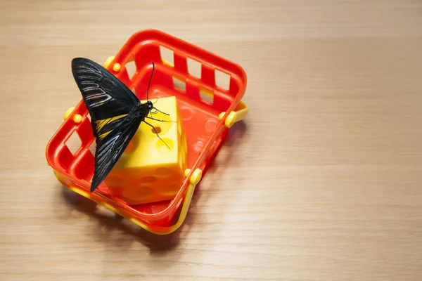 Plastic Basket Cheese Butterfly Wooden Table — Stock Photo, Image