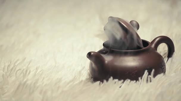 Chinesische Teekanne Rauch Wolle Hintergrund Niemand Filmmaterial — Stockvideo