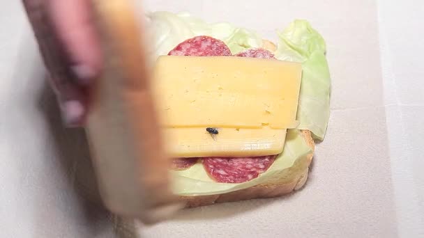 Sandwich Zbura Mână Șervețel Fundal Imagini — Videoclip de stoc
