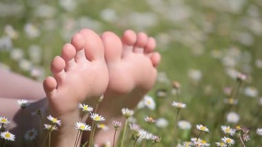 çocuk ayak papatya alan arka plan hd görüntüleri 