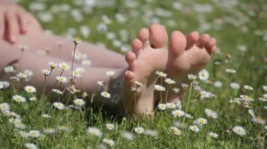 çocuk ayak papatya alan arka plan hd görüntüleri 