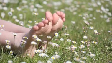 çocuk ayak papatya alan arka plan hd görüntüleri 