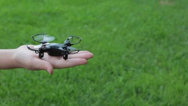 Quadcopter Children Hand Grass Background Footage — Stock Video