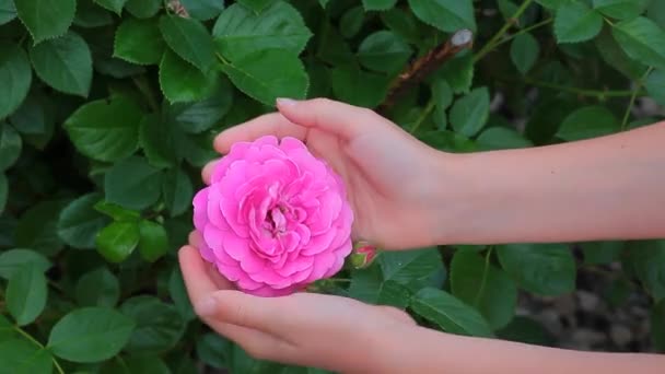Детей Розовыми Цветами — стоковое видео