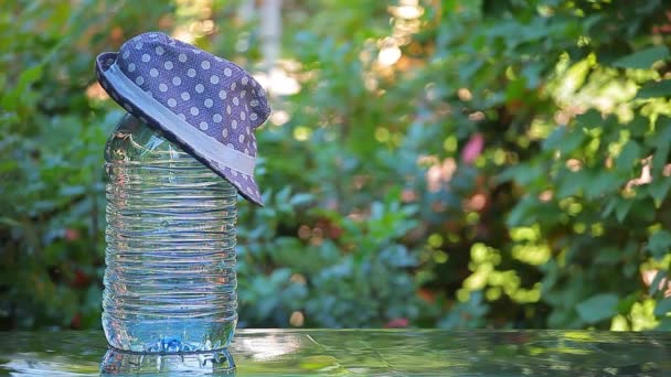 Bottle Water Hat Tree Background Footage Nobody — Stock Video