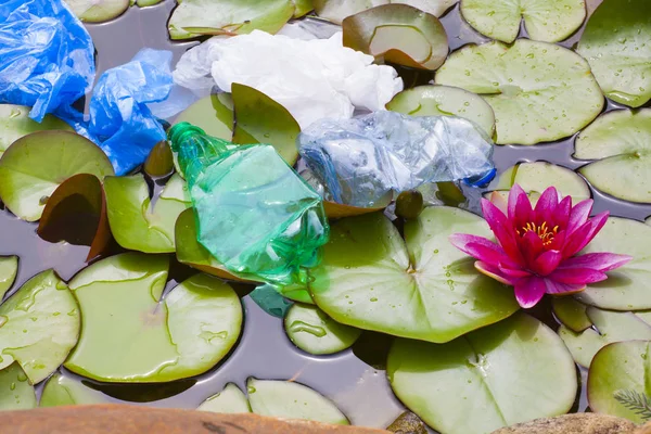 Plastik Şişe Göl Nilüfer — Stok fotoğraf