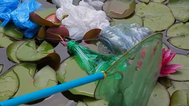 Garrafa Plástico Lago Água Lírio Imagens — Vídeo de Stock
