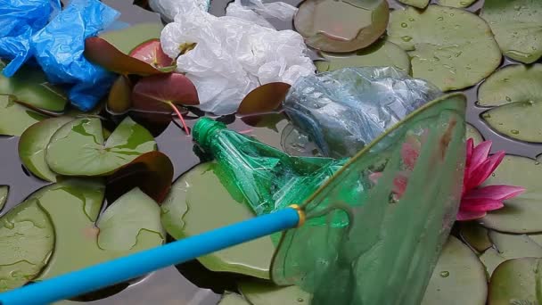 Plastflaska Sjövatten Lily Bilder — Stockvideo