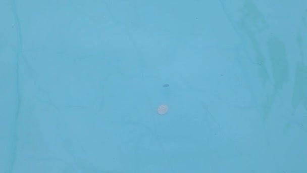 Монета Свіжих Водних Грошей Кадрів Ніхто — стокове відео