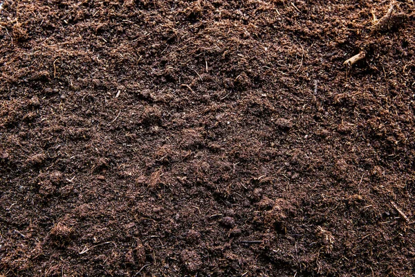 Natural Fresh Ground Background Nobody — Stock Photo, Image