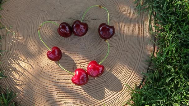 Cereza Bayas Corazón Símbolo Stub Nadie Árbol Sombra Metraje — Vídeos de Stock