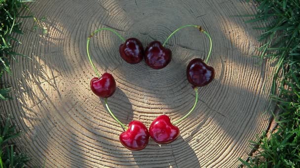 Cereja Berry Coração Símbolo Stub Ninguém Árvore Sombra Imagens — Vídeo de Stock