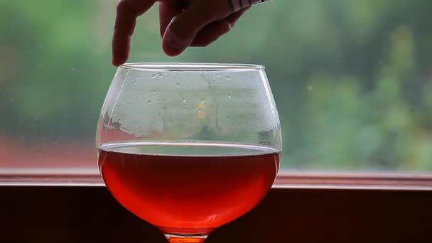 Vino Vidrio Hombre Mano Ventana Lluvia Gota Metraje — Vídeos de Stock