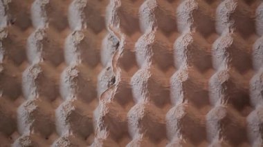 boş kağıt yumurta kutusu arka plan 