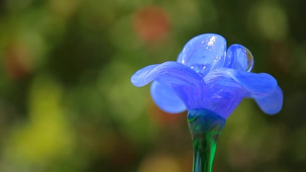 Blue Glass Flower Tree Background — Stock Video