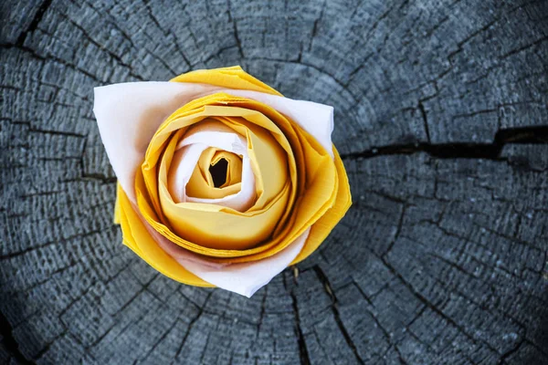 Paper Flower Wooden Stub Background — Stock Photo, Image