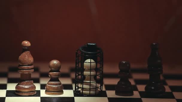 Σκάκι Κλουβί Αιχμηρό Τοίχο — Αρχείο Βίντεο