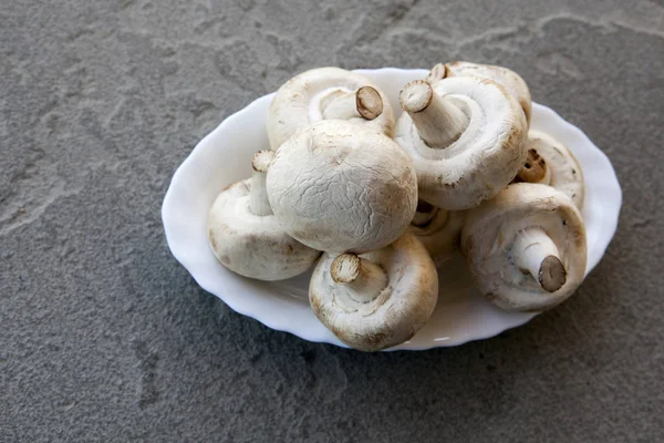 Champignon Paddestoel Natuursteen Achtergrond — Stockfoto