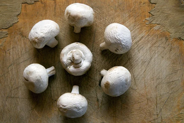 Champignon Scherpe Houten Achtergrond — Stockfoto