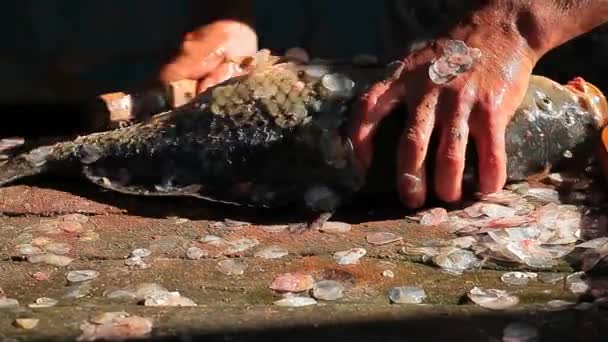 Curat Pește Mână Masă Din Lemn — Videoclip de stoc
