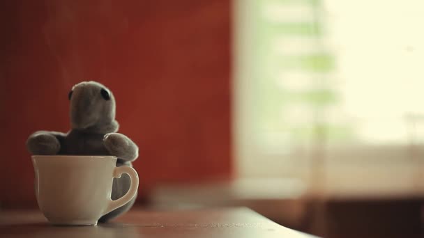 Fenster Heißer Tee Tasse Plüsch Dichtung — Stockvideo