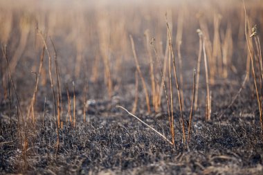 yangın arka plan sonra baston alanı