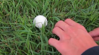 mantar bıçak el çim arka plan 