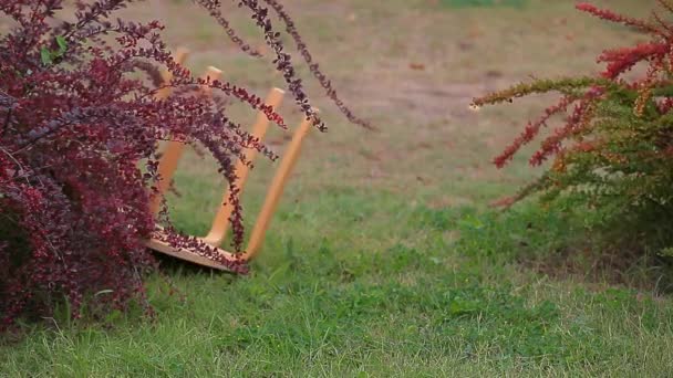 Wooden Chair Plant Grass Background — Stock Video