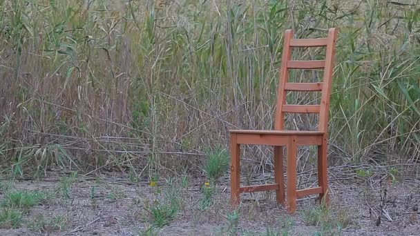 Drewniany Krzesło Wiatr Trzciny Tło — Wideo stockowe